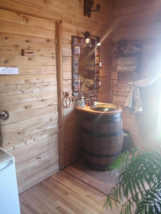 L'Oasis Du Pirate Bed & Breakfast เลวีส ภายนอก รูปภาพ